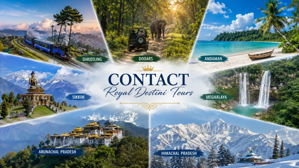 Contact Royal Destini tours
