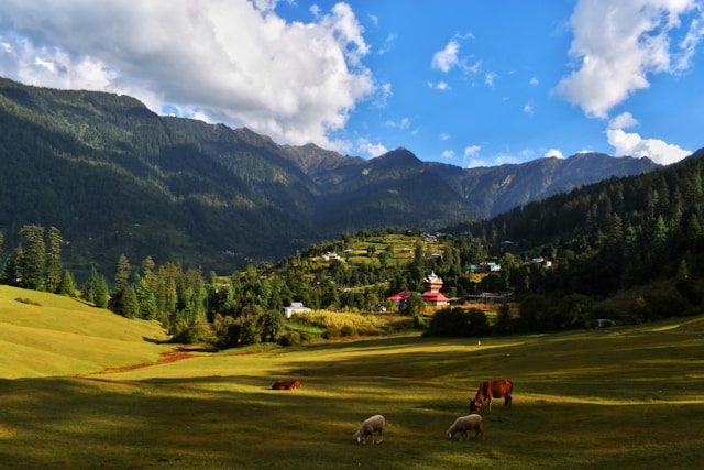 Himachal Honeymoon Tour