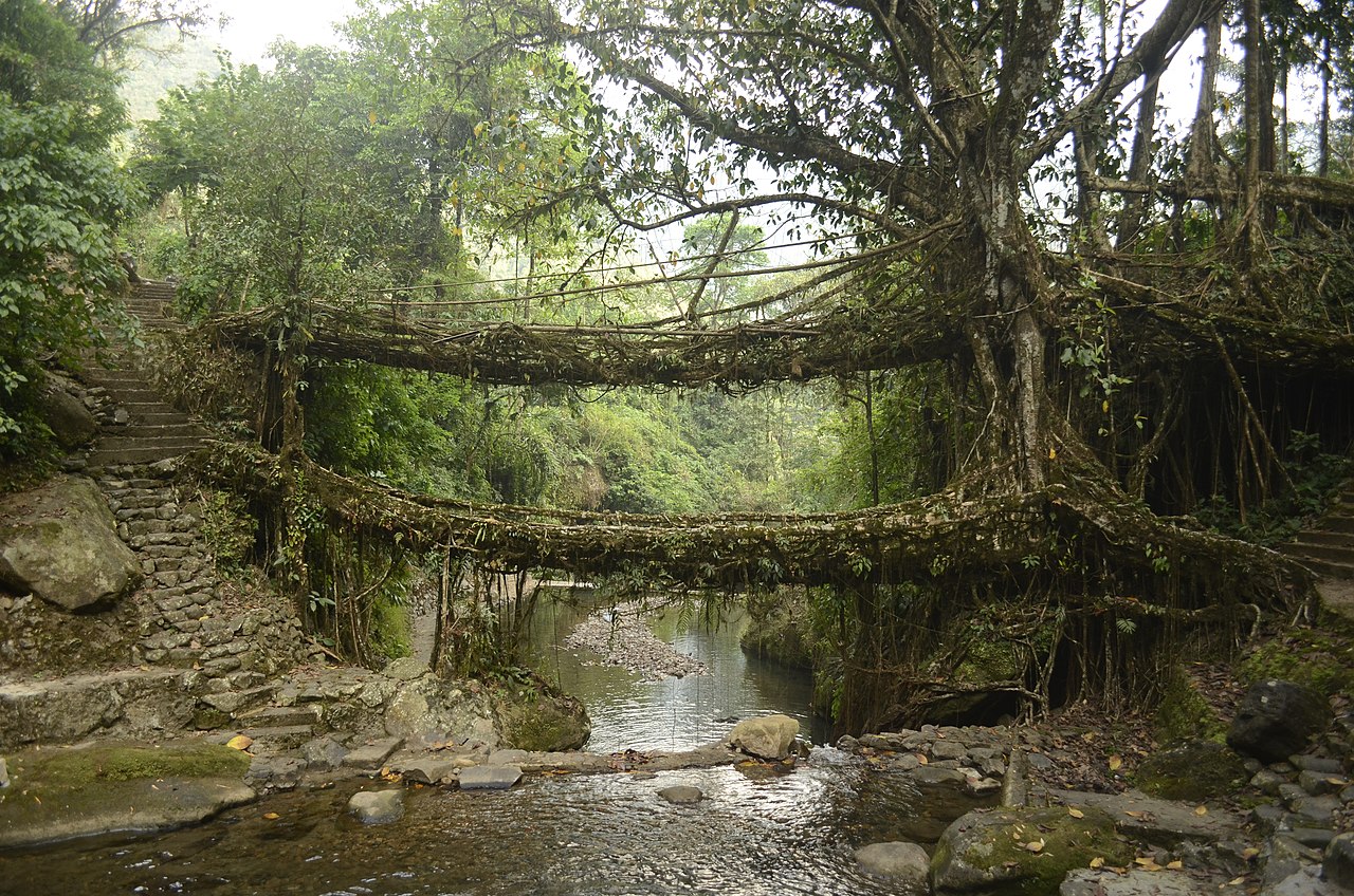 Meghalaya