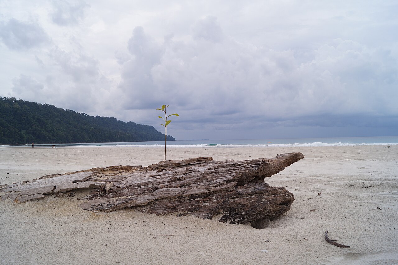 Radhanagar Beach