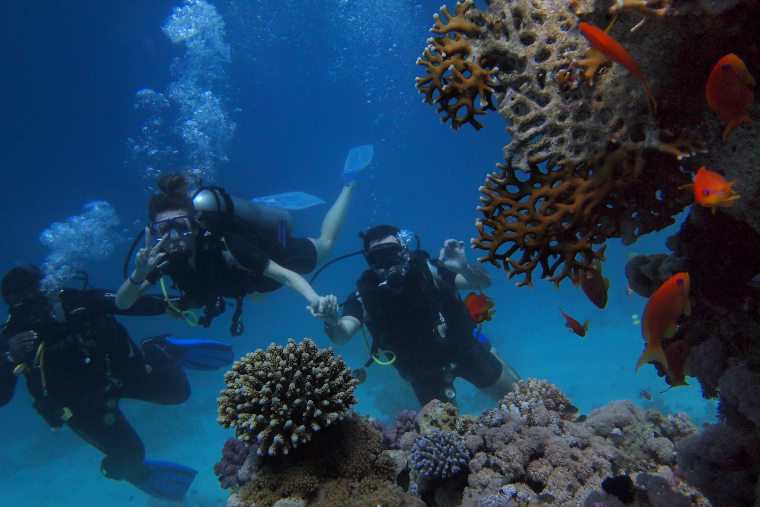 Scuba Diving in Andaman