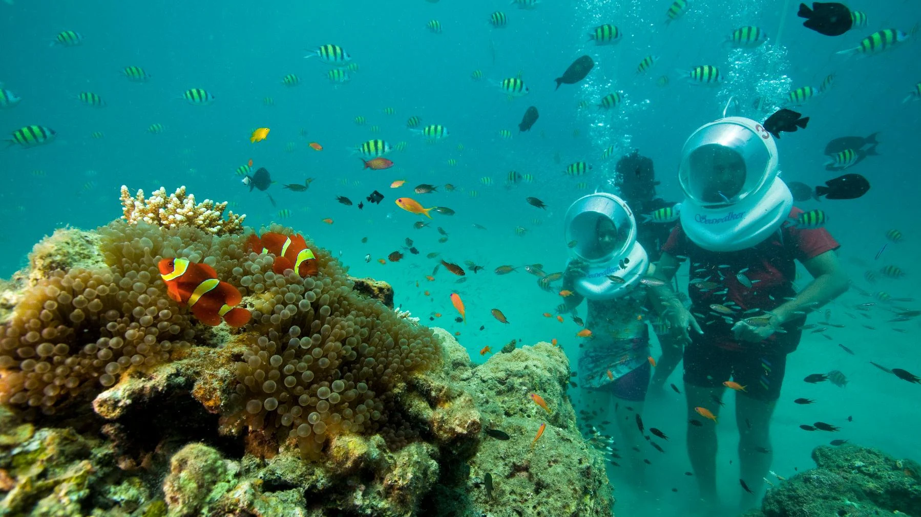 Sea Walk Andaman