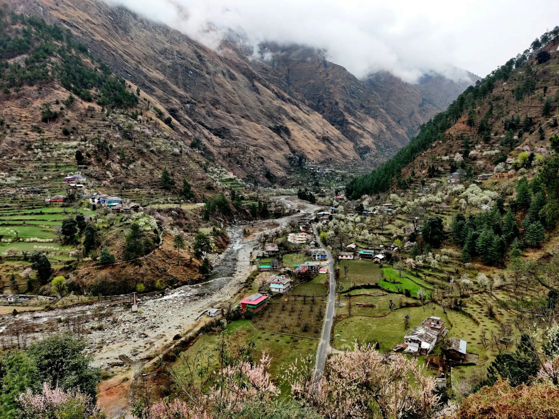Shimla Tirthan Valley Jibhi Tour