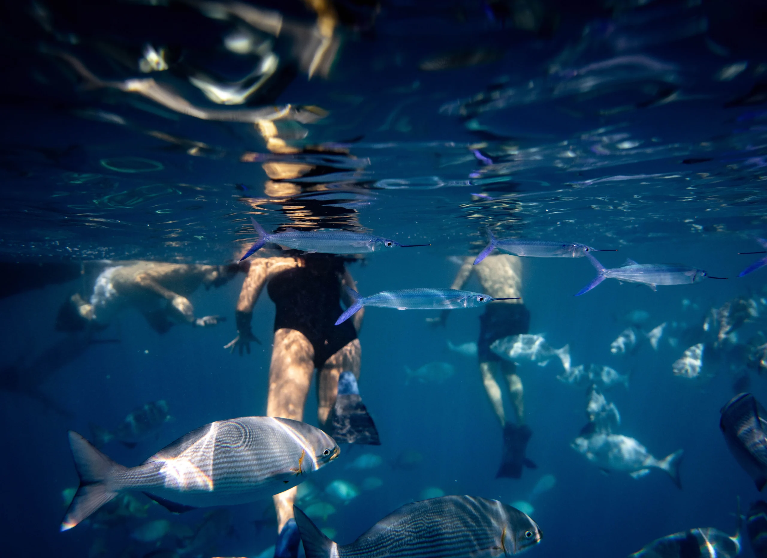 Scuba Diving in Andaman