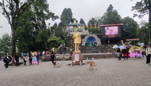 Darjeeling Mall